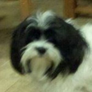 Meet your Posher, Carolyn